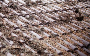 Mollinsburn roof cleaning companies